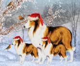 快乐圣诞节背景图片