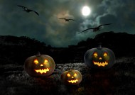 万圣节南瓜灯图片 灯笼图片