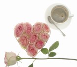 情人节物语图片