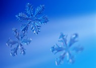 圣诞节装饰礼物图片大全