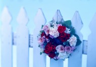 圣诞节装饰礼物图片大全