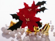 圣诞节铃铛图片大全