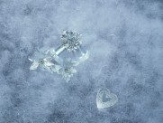 圣诞节铃铛图片大全