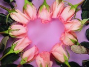 情人节图片大全