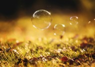 午后唯美梦幻多彩的泡泡背景图片大全