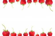 白色背景的草莓素材图片