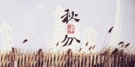 二十四节气秋分素材图片