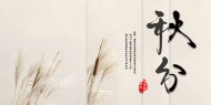 二十四节气之秋分设计素材图片