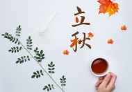 二十四节气之立秋设计素材图片大全