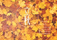 二十四节气之立秋设计素材图片大全