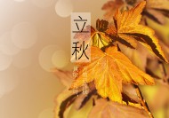 二十四节气之立秋设计素材图片大全
