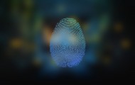 指纹信息图片