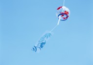 夏日清新素材游泳圈遮阳伞图片