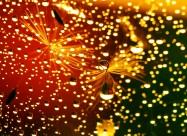 晶莹的水滴设计素材图片