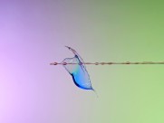 穿过小孔撞击的水滴图片