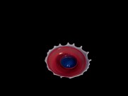 碟子形状的水滴图片