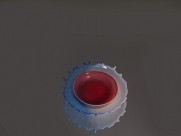 碟子形状的水滴图片