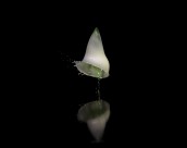 黑背景水滴飞溅图片