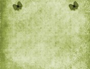 蝴蝶图案背景图片大全