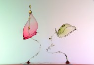 飞溅的水滴图片