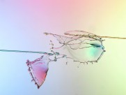 飞溅的水滴图片