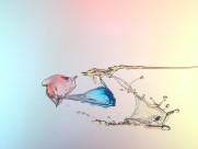 飞溅的水滴图片