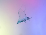 飞溅的水滴图片