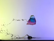 飘逸的水线条图片大全