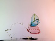 飘逸的水线条图片大全