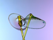 交叉的水花图片