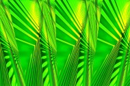 绿色抽象背景图片