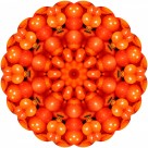 怪异的花纹背景图片大全