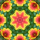 怪异的花纹背景图片大全