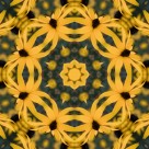 万花筒花纹背景图片