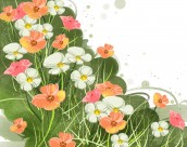 韩国唯美花朵背景图片