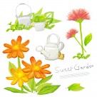 韩国手绘水彩花朵素材图片大全