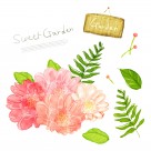 韩国手绘水彩花朵素材图片大全