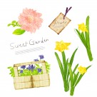 韩国手绘水彩花朵素材图片大全