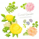 韩国手绘水彩花朵素材图片大全