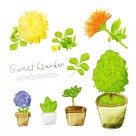 韩国手绘水彩花朵素材图片大全