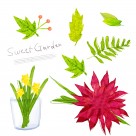 韩国手绘水彩花朵素材图片大全