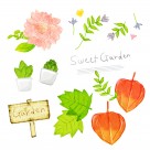 韩国手绘水彩花朵素材图片大全