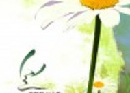 绿色韩国花朵背景图片