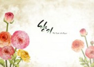 温馨粉色韩国花朵背景图片大全