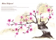 温馨粉色韩国花朵背景图片大全