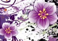 浪漫紫色花朵三联画图片