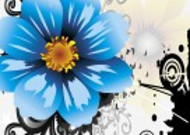 蓝色花朵三联挂画图片