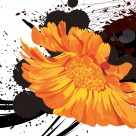 清新雏菊三联画图片