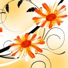 清新雏菊三联画图片