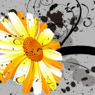 清新雏菊三联画图片